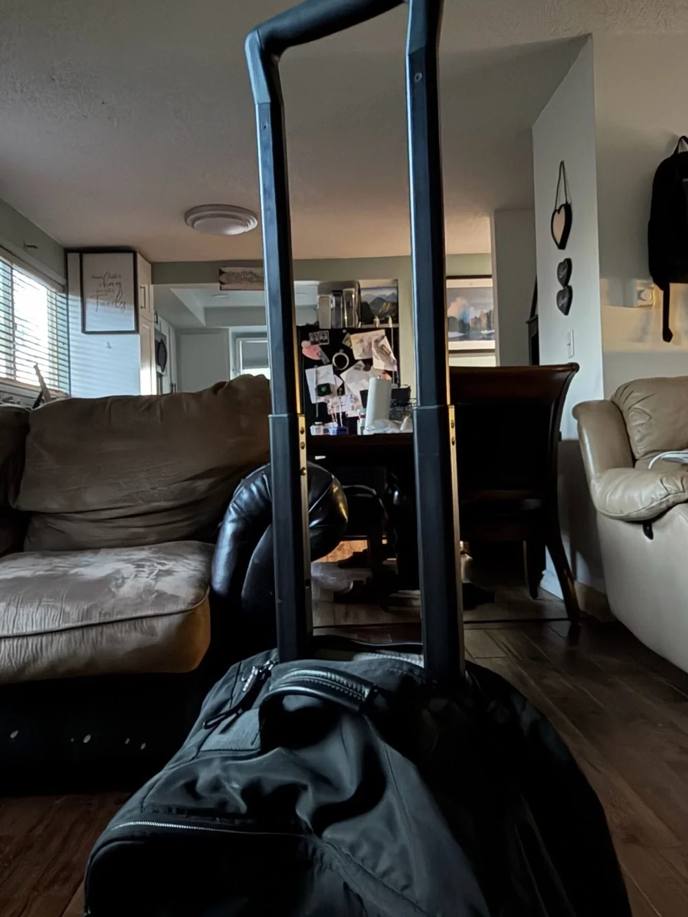 Tumi Black Travel Backpack with Gold Zipper Accents